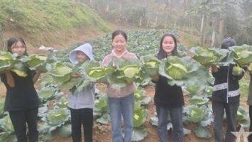 Trường học vùng biên Nghệ An giúp dân xóa đói, giảm nghèo