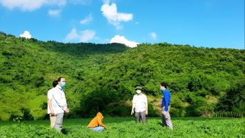 Đề án 07 – khơi dậy nội lực, thoát nghèo bền vững ở huyện Tương Dương