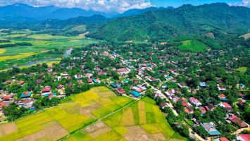 Tăng cường hỗ trợ người dân bị thiệt hại lúa nước và nâng cấp đường giao thông