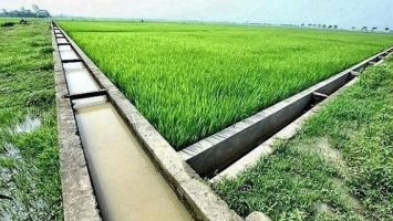 UBND tỉnh trả lời kiến nghị của cử tri huyện Hưng Nguyên về mức giá sản phẩm, dịch vụ công ích thủy lợi