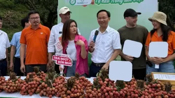 Phó chủ tịch Bắc Ninh livestream bán 54 tấn vải trong 6 giờ