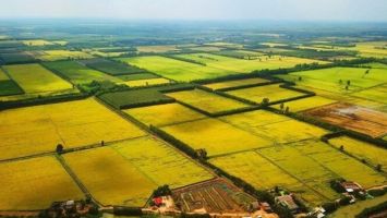 Bộ Nông nghiệp và Môi trường trả lời kiến nghị cử tri nghiên cứu sửa đổi Nghị định 64/NĐ-CP về giao đất nông nghiệp