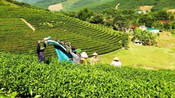 Triển khai hiệu quả Chương trình giảm nghèo bền vững gắn với xây dựng nông thôn mới