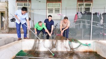 Từ mô hình nuôi lươn không bùn đến bước chuyển mới của cơ cấu vật nuôi