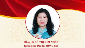 Chân dung đồng chí Lô Thị Kim Ngân - Trưởng ban Dân tộc HĐND tỉnh Nghệ An