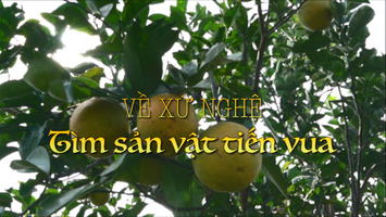 Về xứ Nghệ tìm sản vật tiến vua