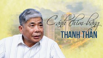 Cánh chim bằng thanh thản