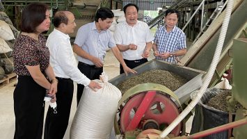 Công ty Mía đường Sông Lam: Nỗ lực đổi mới, phát triển giữa đại dịch Covid - 19