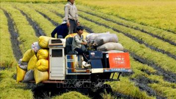 Hướng đến nền nông nghiệp hàng đầu thế giới