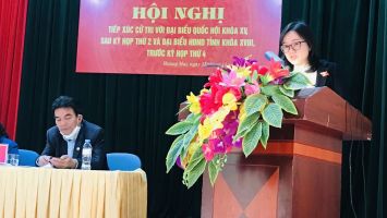 Đại biểu Quốc hội và đại biểu HĐND tỉnh tiếp xúc cử tri tại thị xã Hoàng Mai