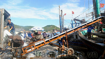 Cần có giải pháp đồng bộ để giải quyết các kiến nghị của cử tri