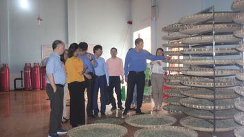 Sửa Luật để tăng “sức đề kháng” cho hợp tác xã