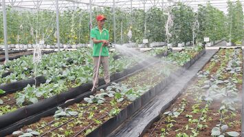 Khuyến khích tích tụ đất đai theo hướng nào?