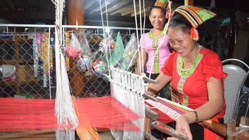 Nghệ An: Quan tâm phát triển kinh tế tập thể năng động, hiệu quả