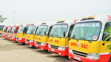 Dừng việc xây dựng dự thảo Nghị quyết về cơ chế hỗ trợ, khuyến khích phát triển vận tải hành khách công cộng bằng xe buýt