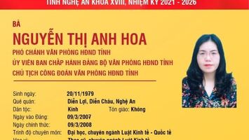 Tiểu sử tóm tắt và chương trình hành động của ứng cử viên đại biểu HĐND tỉnh Nguyễn Thị Anh Hoa