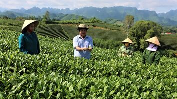 KHÁT VỌNG XANH TRÊN ĐẤT NGHÈO