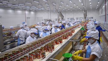 Phân bổ lại thị trường lao động để phù hợp với tình hình mới