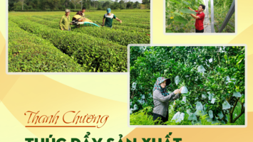 Thúc đẩy sản xuất nông nghiệp bền vững ở Thanh Chương