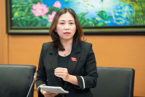 Đại biểu Hoàng Thị Thu Hiền (Đoàn ĐBQH tỉnh Nghệ An) đề xuất nhiều giải pháp nâng cao chất lượng dân số và bảo đảm cân bằng giới tính khi sinh