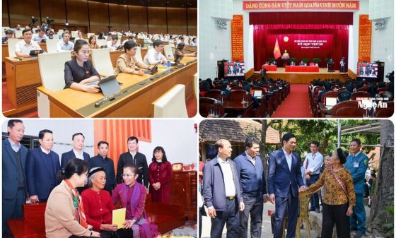 Xuân mới, niềm tin lan tỏa từ trí tuệ và tâm huyết của đại biểu dân cử