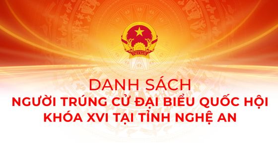 Danh sách người trúng cử đại biểu Quốc hội khóa XVI tại tỉnh Nghệ An
