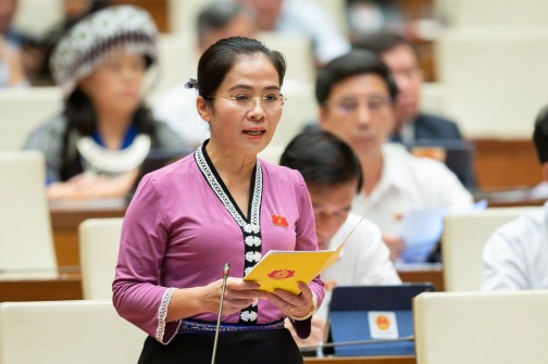 Đại biểu Võ Thị Minh Sinh – Đoàn ĐBQH tỉnh Nghệ An: Cần có quy định thống nhất về lập, quản lý các trang fanpage chính thống của các cơ quan Nhà nước