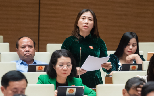 Đại biểu Hoàng Thị Thu Hiền: Ban hành các quy định mang tính nguyên tắc và giao quyền cho Hội đồng nhân dân.