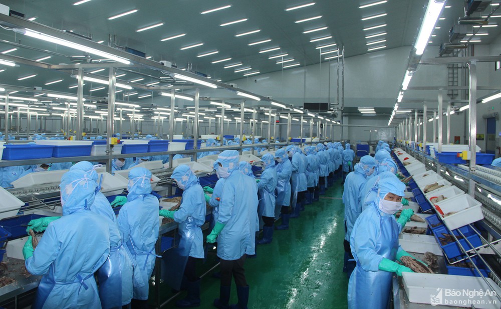 Nghệ An: Thu ngân sách nhà nước 8 tháng ước đạt hơn 12.296 tỷ đồng