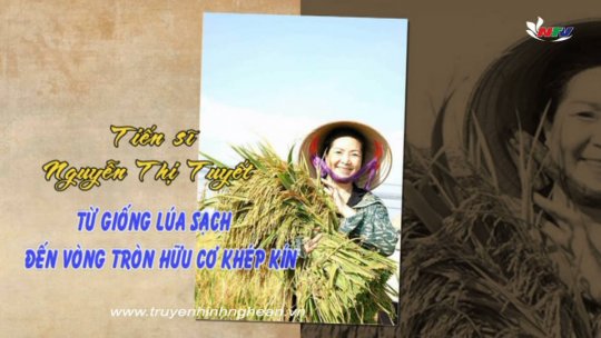 Tiến sỹ Nguyễn Thị Tuyết - Từ giống lúa sạch đến vòng tròn hữu cơ khép kín