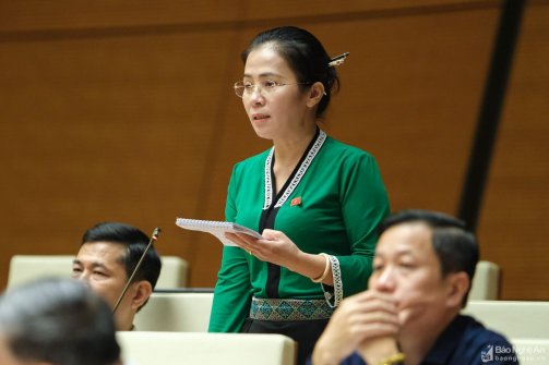 ĐBQH Võ Thị Minh Sinh (Nghệ An): việc thực hành tiết kiệm, chống lãng phí phải gắn bó chặt chẽ với công tác đấu tranh phòng, chống tham nhũng, tiêu cực
